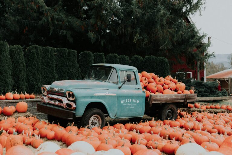 fall scene with truck at pumpkin patch- fall bucket list, things to do during fall