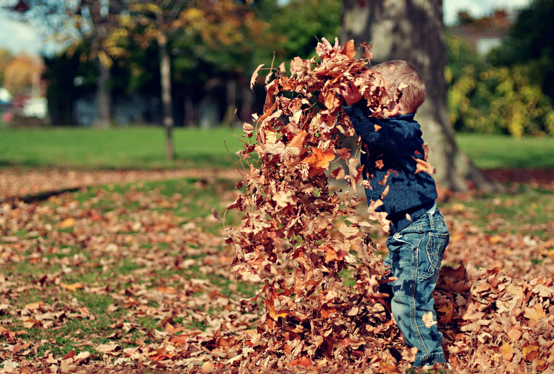 boy playing with fall leaves outdoors- fall bucket list
